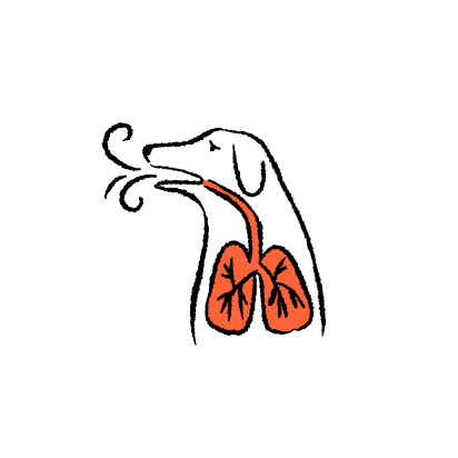 respirationdifficile illustration